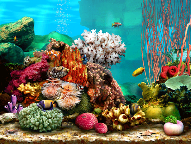 Screensaver Living Marine Aquarium 2