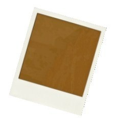 imagini polaroid