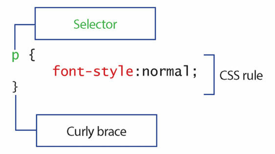 7 abilități de programare pe care toți dezvoltatorii de site-uri ar trebui să știe regulile css 563x315