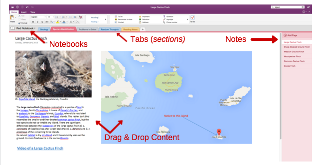 OneNote-organizare-640x331