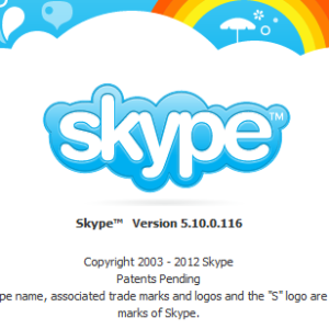 probleme de securitate skype