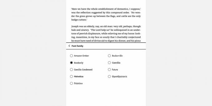 Captură de ecran a meniului Amazon Kindle Font Family