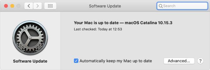 Pagina de preferințe pentru sistemul de actualizare software în macOS