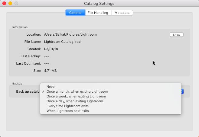 Setări pentru catalogul Lightroom