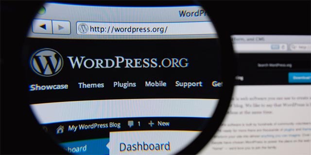 WordPress-cadru de-ce-sunt-ei