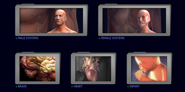 3d-anatomie-modele-3dscience