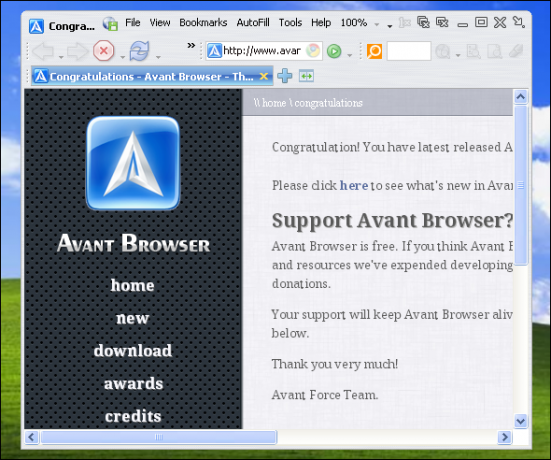 alternative de browser pentru Windows