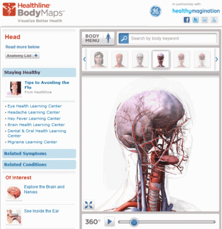 Corpul uman 3d online