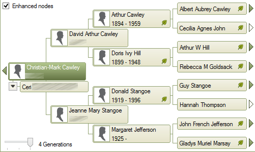 Cercetați arborele genealogic online Arbore genealogic online image2 1 1