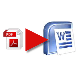 Cum se convertește un fișier PDF într-un document Word cu AnyBizSoft PDF în Word Converter AnyBizSoft08 Thumb