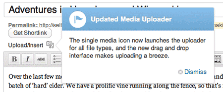 Ce este nou în WordPress 3.3? un singur buton de încărcare