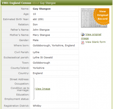 Cercetează-ți arborele genealogic online Arborele genealogic image4 4