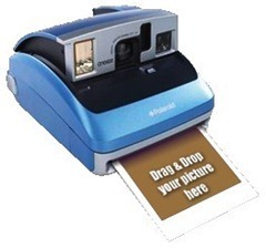 imagini polaroid