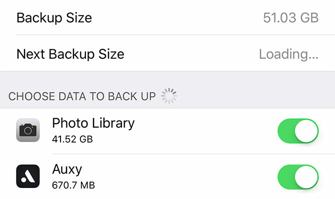 backup pentru iPhone - iCloud Backup items