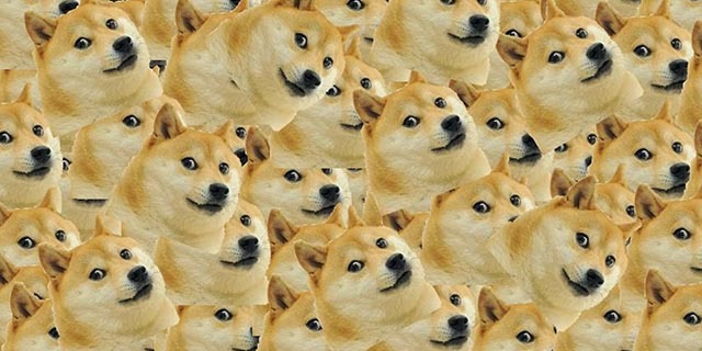 Utilizatorii dogecoin comunitate