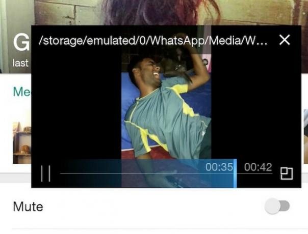 zoom popout video WhatsApp