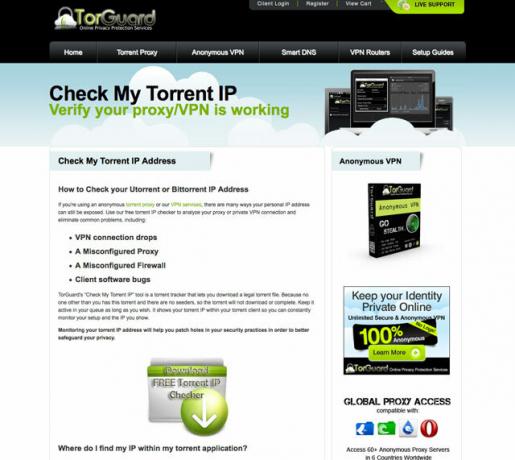 check-torrent-ip