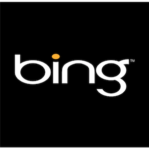 Bing introduce căutarea tipografică - funcționează? [Știri] bing 1