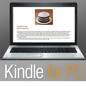 kindle pentru buc