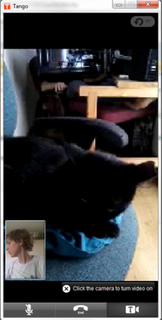 cele mai bune alternative skype