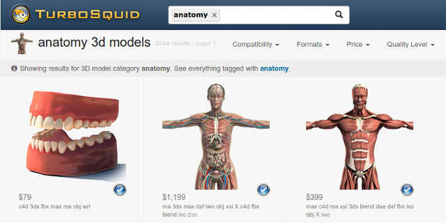 3d-anatomie-modele-turbosquid