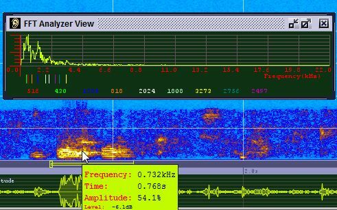 Voce vizibilă sonogramă - software puternic cu spectrograma vocală sunt9