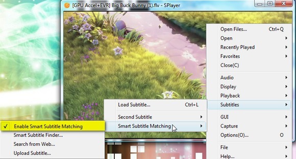 Splayer - Un player media portabil Play-All pentru Windows 6