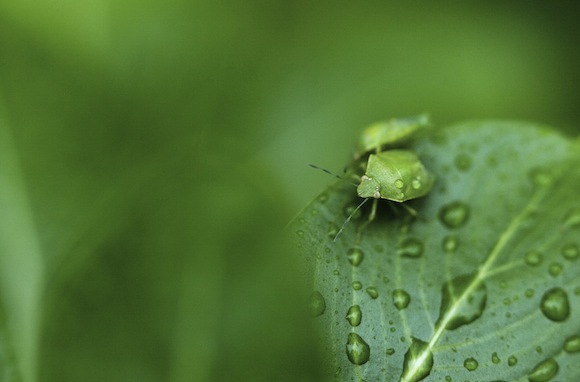 idei de fotografie unice