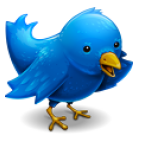 9 site-uri utile pentru a găsi persoane de urmărit pe Twitter twitterbird