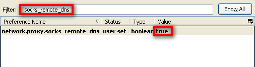 firefox-remote-dns-setare