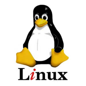 cea mai ușoară versiune de linux