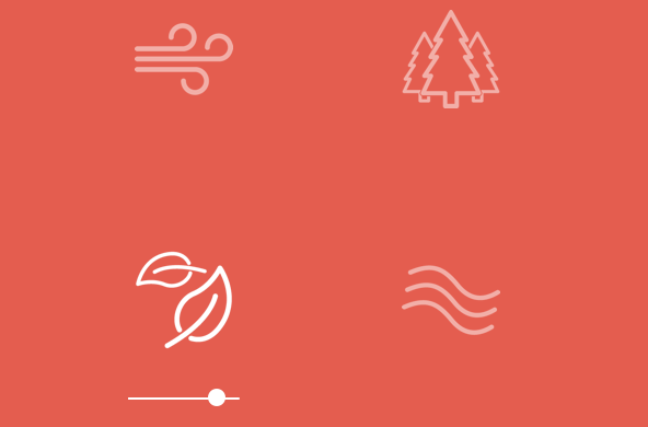 noisli-butoane