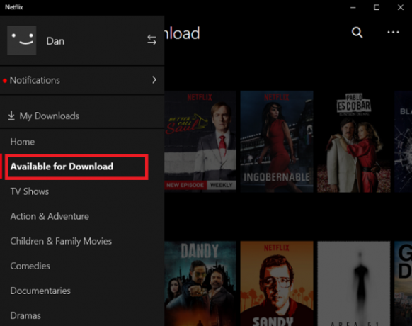 netflix descărcare windows 10