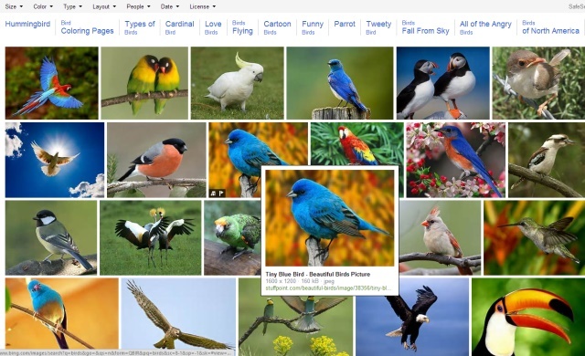 Bing Images